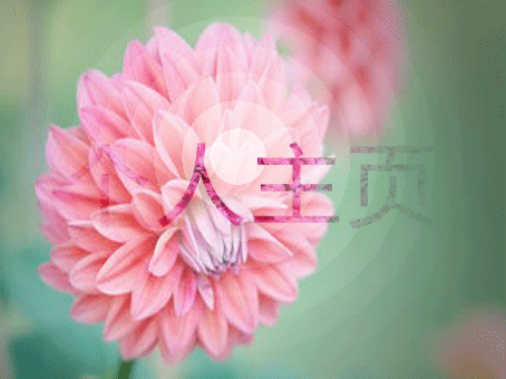 个人网站Logo
